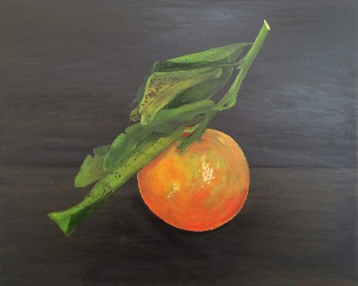 Nadorcott Mandarin